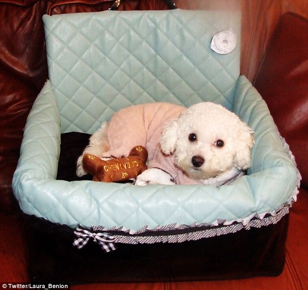 Ӣ��С�������������ö�������