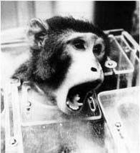 ���أ��Ҳ��̶õĶ���ʵ�����Ƭ��ͼ��