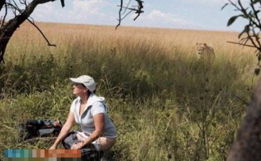 ץ�ľ��Ķ��ǵĶ��˲��(��ͼ)