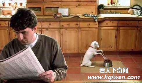 Ц�ƶ�Ƥ����ţ��ЦͼƬȫ�� (��ͼ)