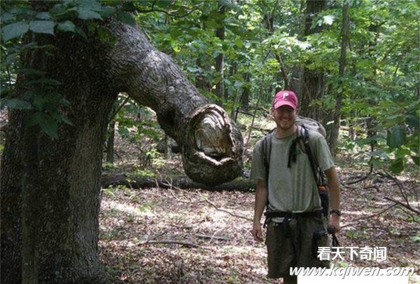 ���������̫�������Ǵ���Ȼ̫����