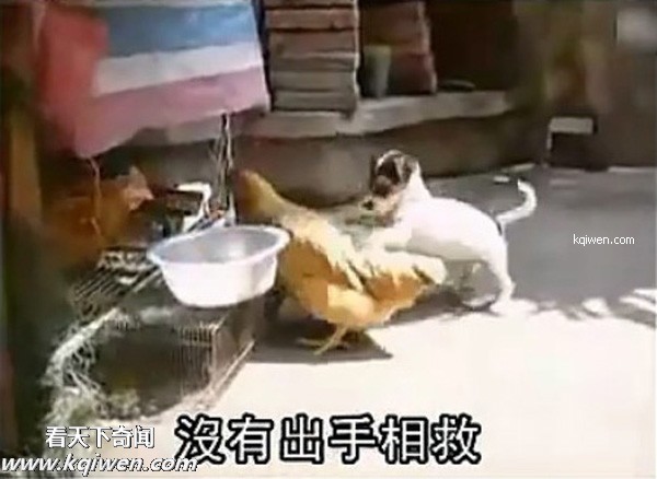 ��ɫС�������컯�����Ｆ(��ͼ)