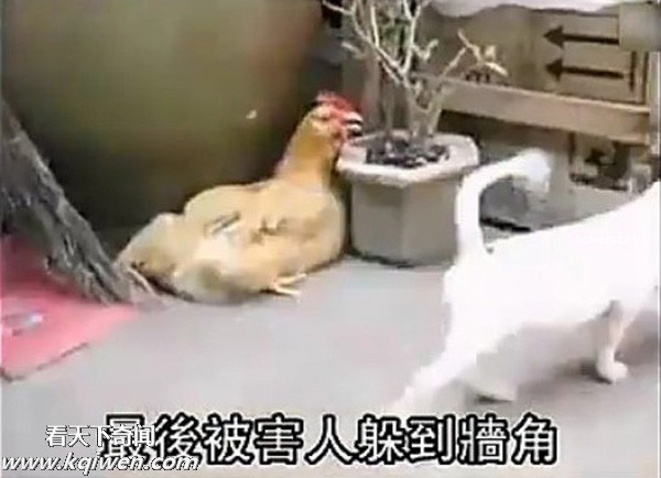 ��ɫС�������컯�����Ｆ(��ͼ)