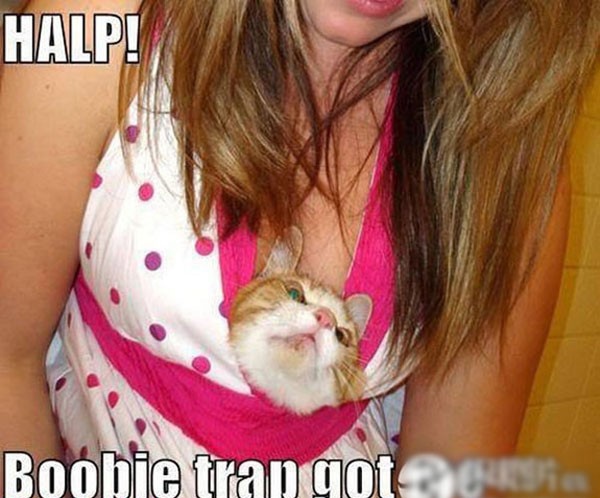 ��Ů������������ĳ����˹���ͼ�� ������ذ�(��ͼ)