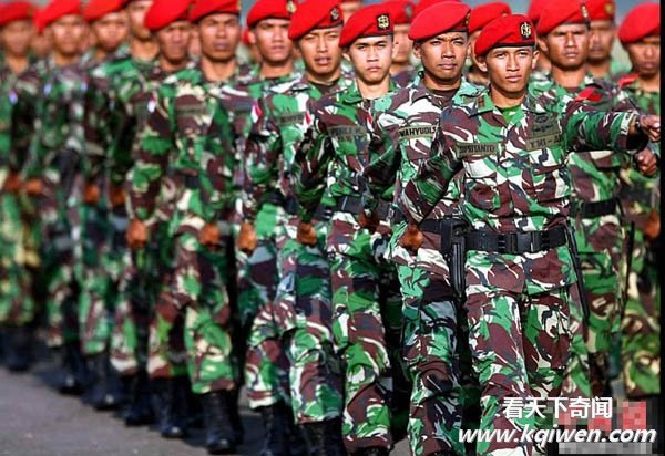 高清:中国印尼两国陆军特种兵联合训练