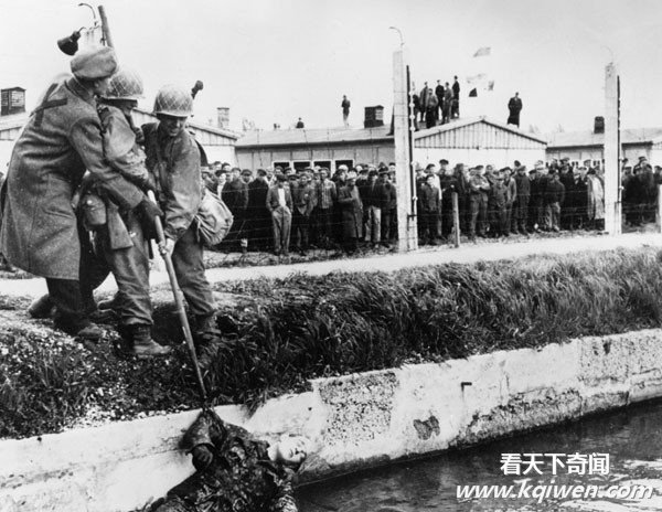 �ҿ���սʱ�¹��ɴ����˷�ָ�ı��� ����Ӫʬ����(��ͼ)